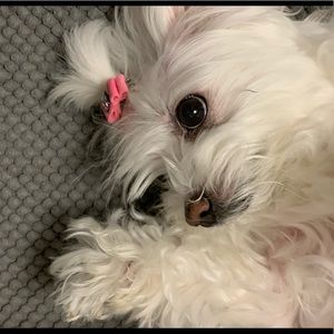 Meet your Posher, Anna karina